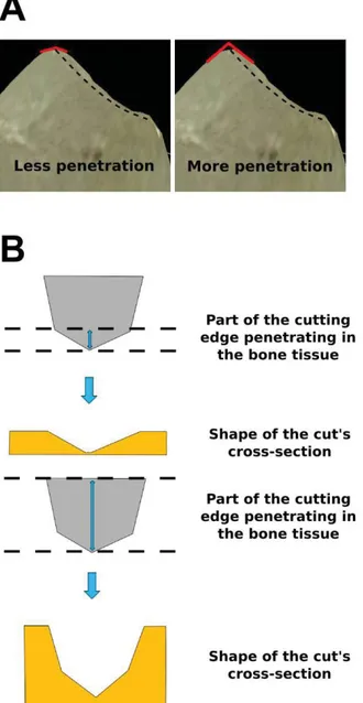 Fig. 5. A. An example of how does the angle α changes  depending on the penetration of the cutting edge into the  bone tissue