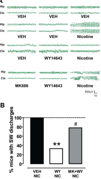 Figure 2. The PPARa agonist WY14643 suppresses nicotine- nicotine-induced spike-wave activity