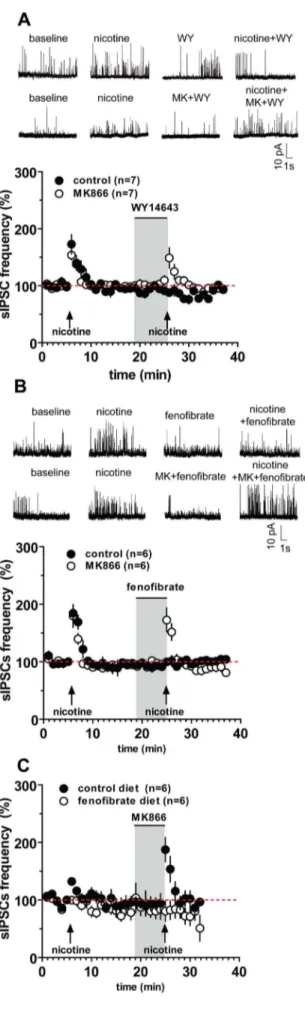 Figure 4. The PPARa agonists WY14643 and fenofibrate suppress nicotine-induced increase of spontaneous inhibitory postsynaptic currents (sIPSC) in frontal cortex (FCx) pyramidal neurons