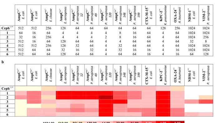 Table  1a,b ). This result accounts for the higher efficacy of derivatization in position C5 with respect to C7 vs  AmpC