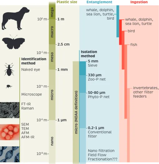 FIGURE 5. Classification,  categorizes particles  size  into ‘microplastics’.  Particles in the size range  1 nm to &lt; 5 mm were  considered microplastics  by GESAMP