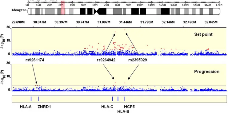 Figure 1. Significant hits in the MHC region. Representation of a 3 Mb stretch in the MHC region, encompassing the HLA Class I gene loci and the genome-wide significant SNPs identified in the study (red dots represents SNPs with p-value,5E–08)