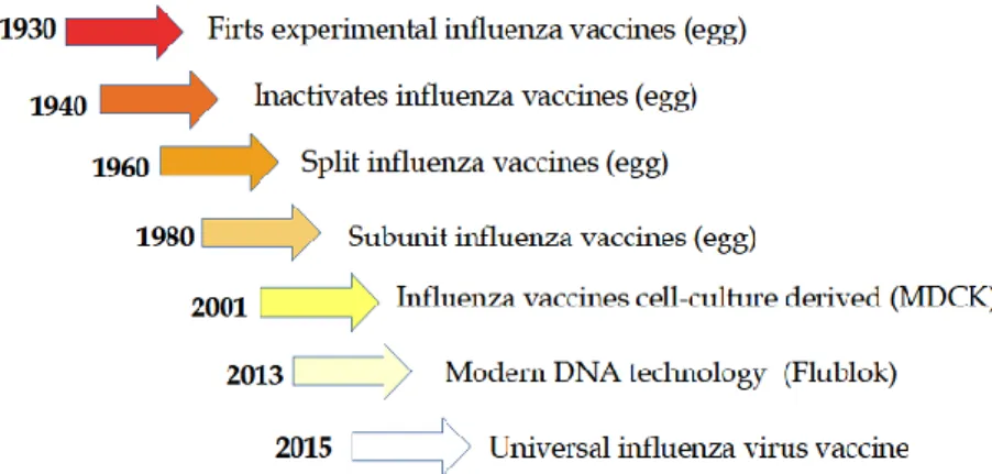 Figure 1. Historical path of the development of influenza vaccine [11]. 