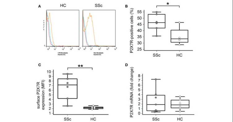 FIGURE 1 | P2X7R surface expression is increased in SSc dermal fibroblasts. (A–C) P2X7R surface expression in dermal fibroblasts from SSc patients and HC, as determined by flow cytometry: (A) original flow cytometry data representative of an experiment; (B