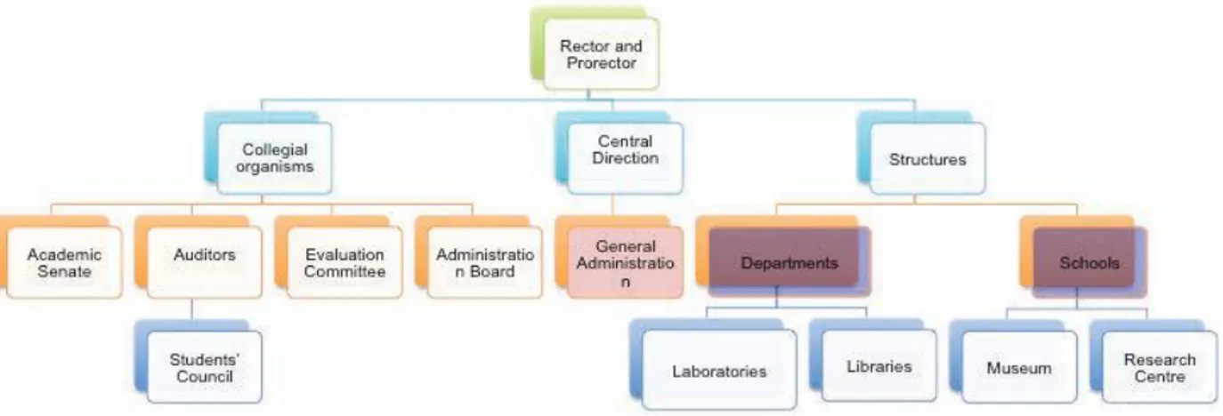 Figure 4: Italian hierarchical structure of university  