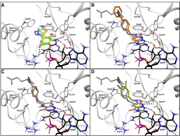 Figure 6. Docking poses of compounds in TbPTR1. The reference crystal structure (PDB ID 2X9G) of TbPTR1 is shown in cartoon representation, with important interacting residues in stick representation with gray carbons in complex with NADP + (stick represen