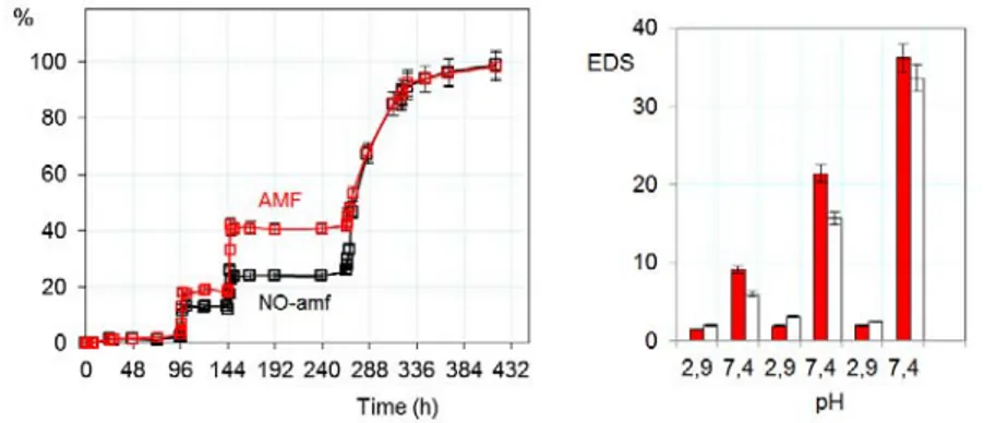 Figure 3: Left: Pulsed release (2h and 3h pulses, PBS pH 7.40) of insulin from the hydrogel PHE-Nip2 in 0.15  M NaCl (at pH 2.90) with the presence (red squares) and the absence (black squares) of AMF