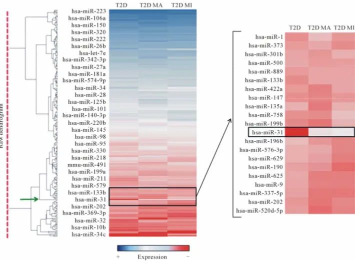 Figure 1. Hierarchical clustering analysis of miRNA expression profiling. MicroRNAs expressed in the 3 groups analyzed (T2D =  Type 2 Diabetes without complications; T2D MA = Type 2 Diabetes with macrovascular complications; T2D MI = Type 2 Diabetes  with 