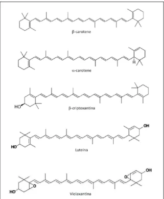 Fig. 8 - Struttura chimica di capsantina e capsorubina