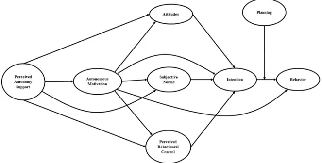Figure 1: The Integrated Behavior Change model linking perceived autonomy support, autonomous motivation,  attitudes, subjective norms, perceived behavioral control, intention and planning on behavior.