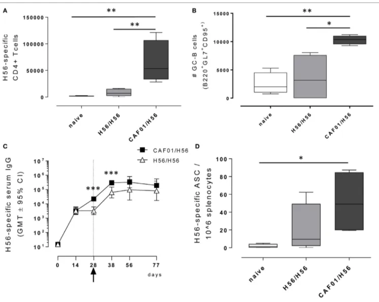 FigUre 2 | Adaptive immune response following booster immunization. C57BL/6 mice were subcutaneously immunized as reported in Figure 1