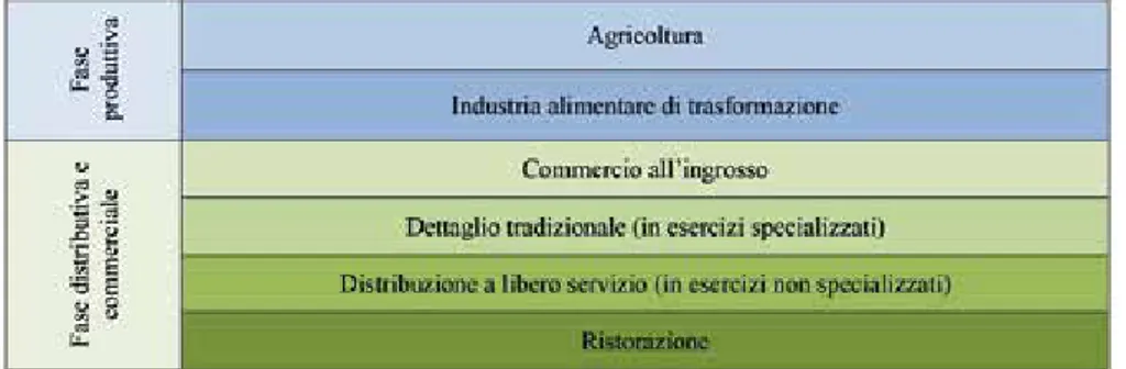 Figura 5. — La filiera agroalimentare: le diverse fasi e gli attori