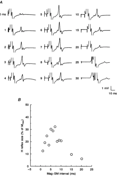 Figure 2. Variations of H reflex from the relaxed ADM muscle with changes in the Mag-SM interval