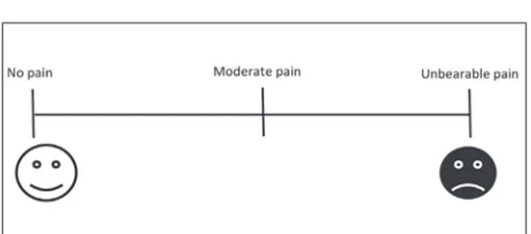 Table 2. Questionnaire for pain
