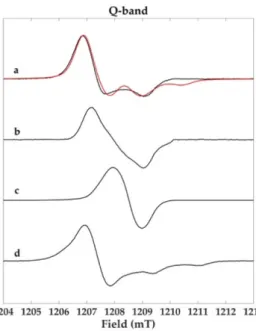 Figure 5. X- (9.9 GHz) and Q-band (33.7 GHz) spectra of the cysteinyldopa melanin paired with their 