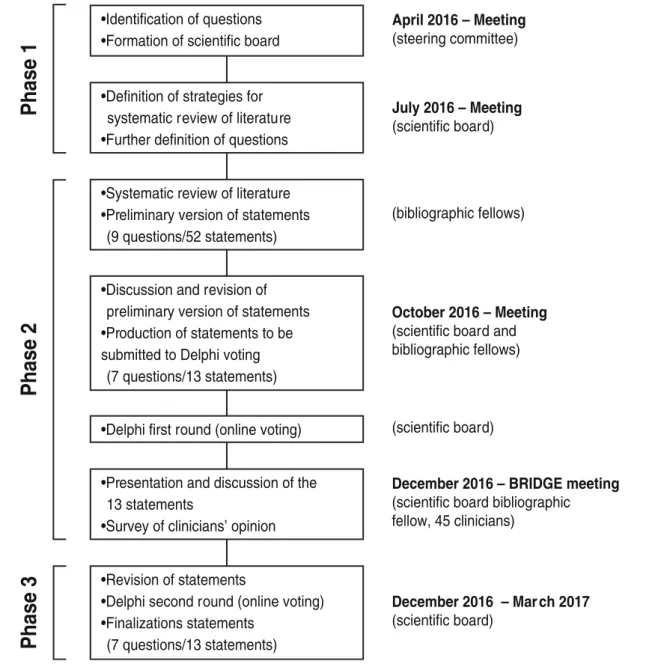 Fig. 1 Process leading to the formulation of the 13 consensus statements about the multidisciplinary management of spondyloarthritis-related immune-mediated inﬂammatory diseases (IMIDs)