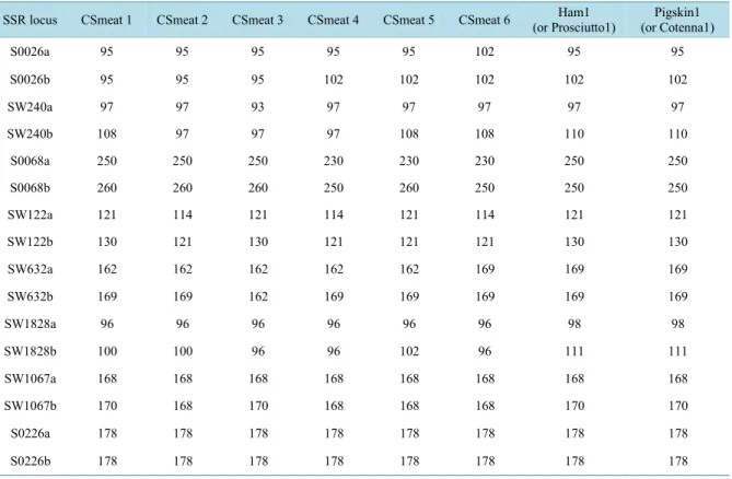 Table 7.  Allele sizes of the CS pigskin and hams. Ham1 and Ham2 show four different alleles which however are recurring  alleles in the CS breed genotype