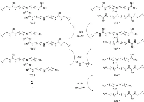 Figure 5.  Synthesis of monomer (1). Reagents and conditions: (i) NaN 3 , DMF, 50 °C, 16 h; (ii) 1,3-Bis(tert-
