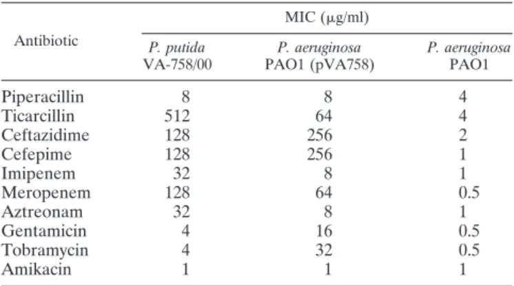 TABLE 1. MICs of various ␤-lactams for P. putida VA-758/00 and for P. aeruginosa PAO1 harboring plasmid pVA758 a