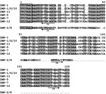 FIG. 2. Sequence alignment of the attC recombination sites of bla IMP -containing gene cassettes