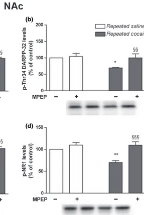 Fig. 5 Levels of phospho-Thr75 and phospho-Thr34 DARPP-32, phospho-GluR 1 , and phospho-NR 1 in the NAc of control (repeated