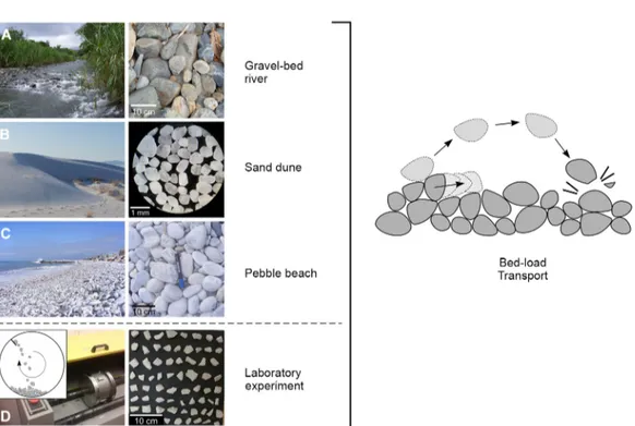 Fig. 2. Environments and sediments examined in this study. Field data were collected from different environments: (A) gravel-bed river in Puerto Rico, (B) gypsum dune field in New Mexico, (C) pebble beach in Marina di Pisa, and (D) experiment in a rotating