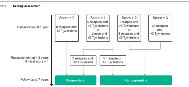 Figure 1 Scoring assessment