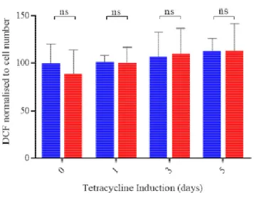 Fig. S2. NSC34 (G4C2)102 cells do not show signs of oxidative stress