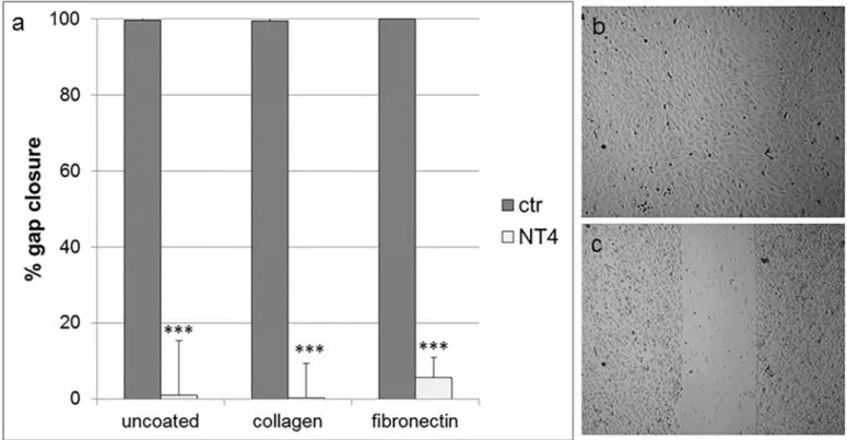 Fig 2. a) Effect of NT4 on migration of HUVEC on different coatings in a cell layer wound healing assay, measured as % of gap closure