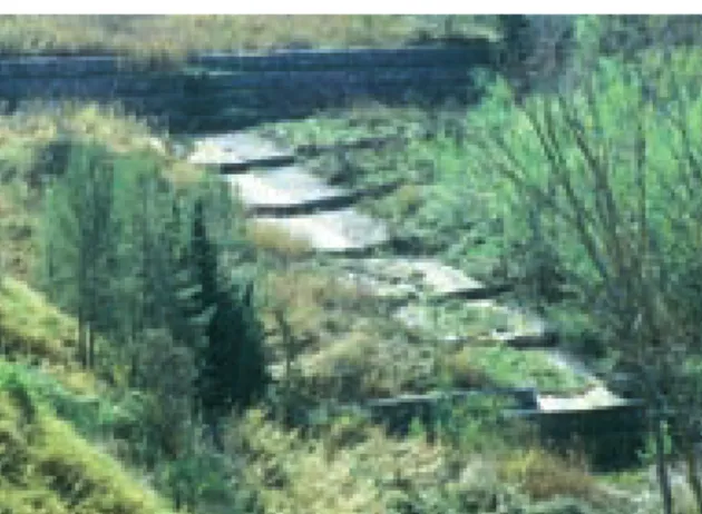 Foto ripresa nei primi anni Cinquanta: in basso a sinistra, sotto le pareti verticali delle Balze, sono visibili le gradonature realizzate dal Consorzio per la bonifica della Val d’Era durante i lavori di sistemazione idraulico-forestale atti a favorire il