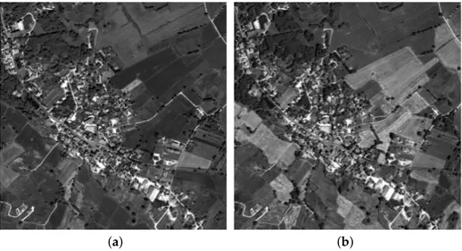 Figure 2. The 2048 × 2048 details of the GeoEye-1 Pan images taken on (a) 27 May 2010, (b) 13 July 2010.