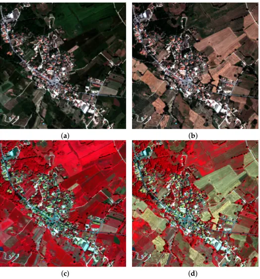 Figure 3. The 512 × 512 details of the original GeoEye-1 MS images acquired on (a,c) 27 May 2010 and (b,d) 13 July 2010