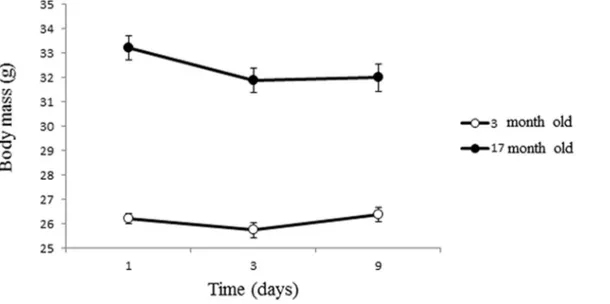 Figure 2. Change in body mass (g) during the course of the experiment for young (3 month old) and old (17 month old) male mice