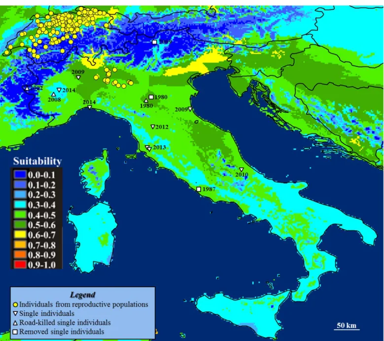 Figure 1 – Current distribution and climatic suitability for Northern raccoon in Italy.