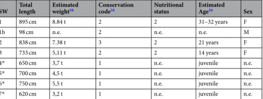 Table 1.  Biological data and conservation code of stranded animals: weight was estimated using Lockyer et al