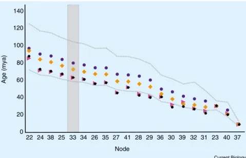 Figure 1. Estimation of node ages under relaxed lognormal and random local clocks. Comparison of node age estimates obtained using different analyses