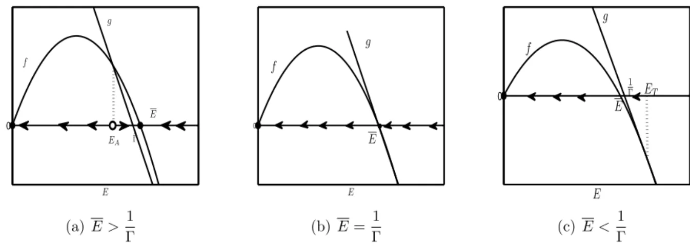 Figure 2: Dynamic regimes in the context η ≥ η 0 , obtained by varying the carrying capacity E