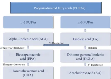 Figure 1: Summary of elongation and desaturation occurrence of polyunsaturated fatty acid (PUFA) metabolism.