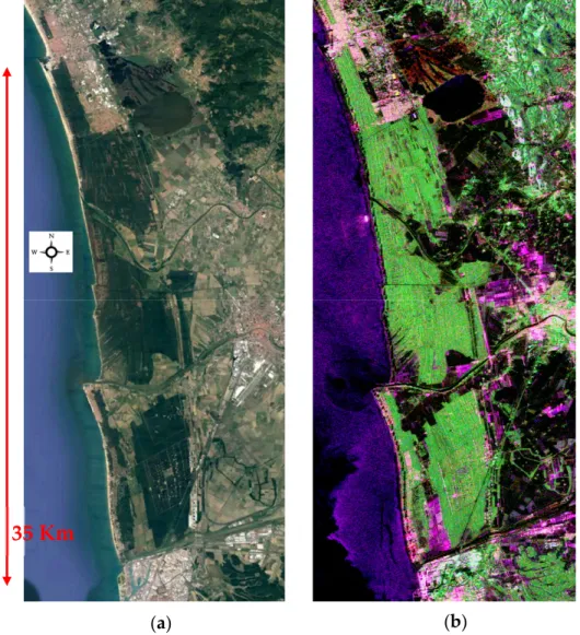 Figure 4. RGB image of San Rossore area on top right side, (a) compared with a Google Earth image 