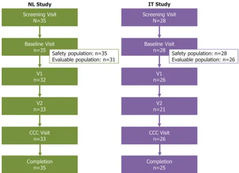 Fig. 1 Patient disposition. Three patients (10.7%) in the IT study discontinued, either due to adverse events (n=1) or withdrawal of consent (n=2)