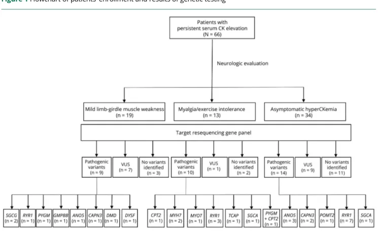 Figure 1 Flowchart of patients ’ enrollment and results of genetic testing
