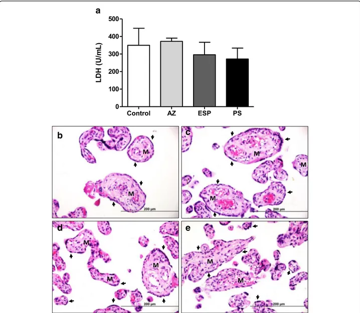 Fig. 1 (a) Tissue viability in human villous explants. Villous explants supernatants were collected and lactate dehydrogenase (LDH) activity was measured using the LDH Liquiform kit