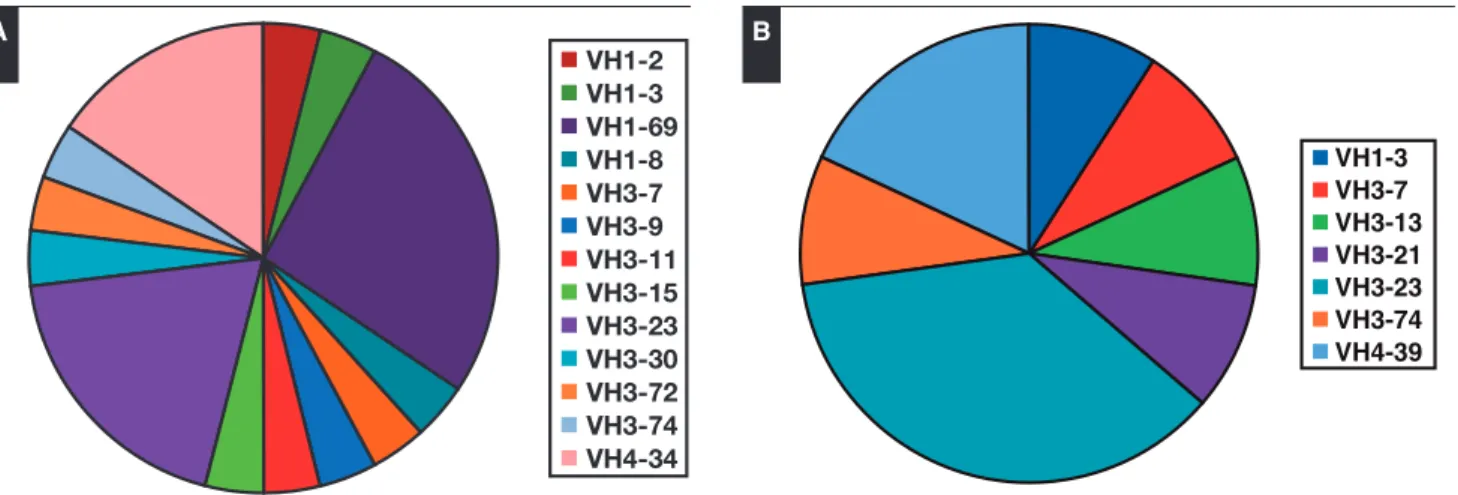 Figure 4 IGHV gene usage analysis in endemic Burkitt lymphoma (eBL) (A) and sporadic Burkitt lymphoma (sBL) (B)