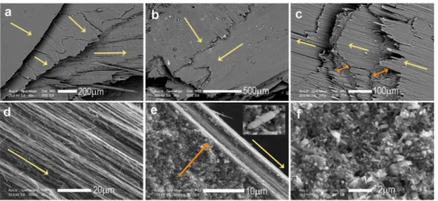 Figure  7.  Back-scattered  electron  scanning  electron  microscope  (BSE/SEM)  images  of  slickenfibre  veins and faults formed by fibrous serpentines (chrysotile and polygonal serpentine)