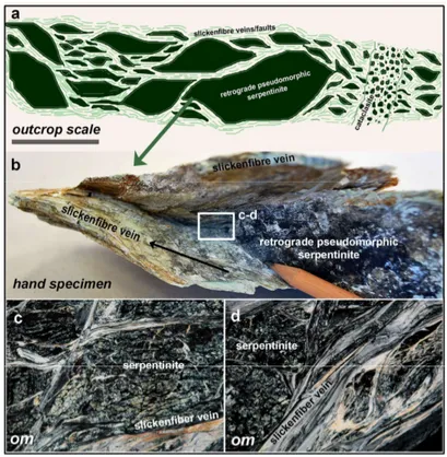 Figure 3. Common characteristics of retrograde serpentinite at a range of scales. (a) Dark-green lenses  of  massive  serpentinite  surrounded  by  pale-green,  anastomosing  slickenfibre-coated  faults