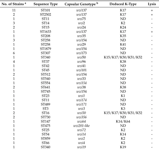 Table 1. Host spectrum of vB_Kpn_F48 towards K. pneumoniae clinical isolates. For each combination of sequence type/capsular genotype, the number of tested strains, the deduced capsular type basing on the wzi sequencing method and the result of the lysis t