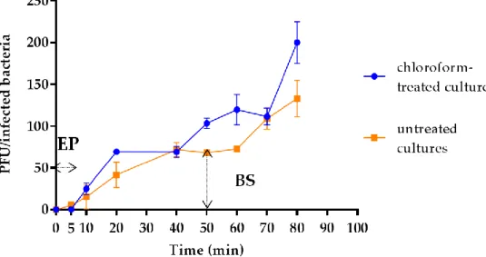 Figure 2. One-step growth curve of bacteriophage vB_Kpn_F48. The PFU per infected cell at different time points in chloroform-treated 