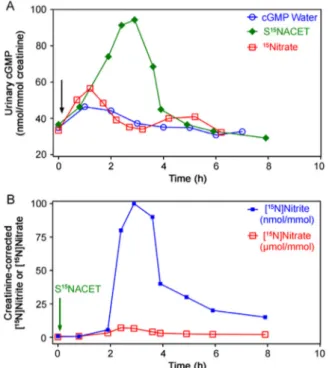 Fig. 4. (A) Pharmacokinetics of [ 15