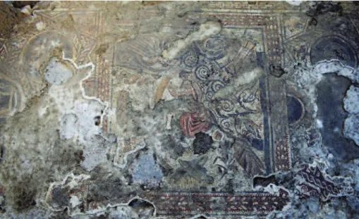 Fig. 9. Il mosaico tardoantico di Vignale.