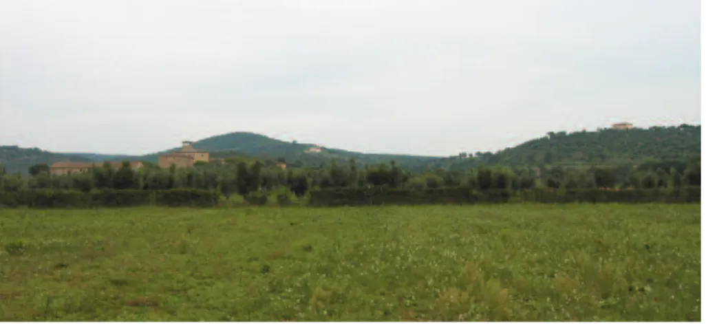 Fig. 2. Il paesaggio di Vignale dal sito archeologico: sulla sinistra la fattoria sette-ottocen- sette-ottocen-tesca, sulla collina al centro sullo sfondo il sito del castello medievale.